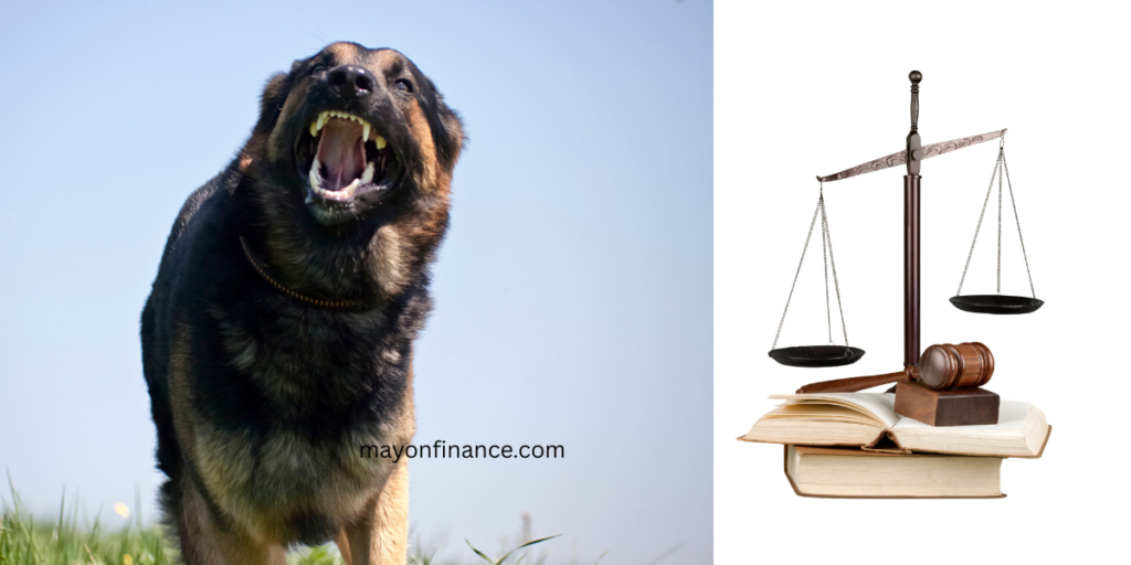 Dog Bite Lawyer Brampton consulting with a dog attack victim about injury compensation in Ontario