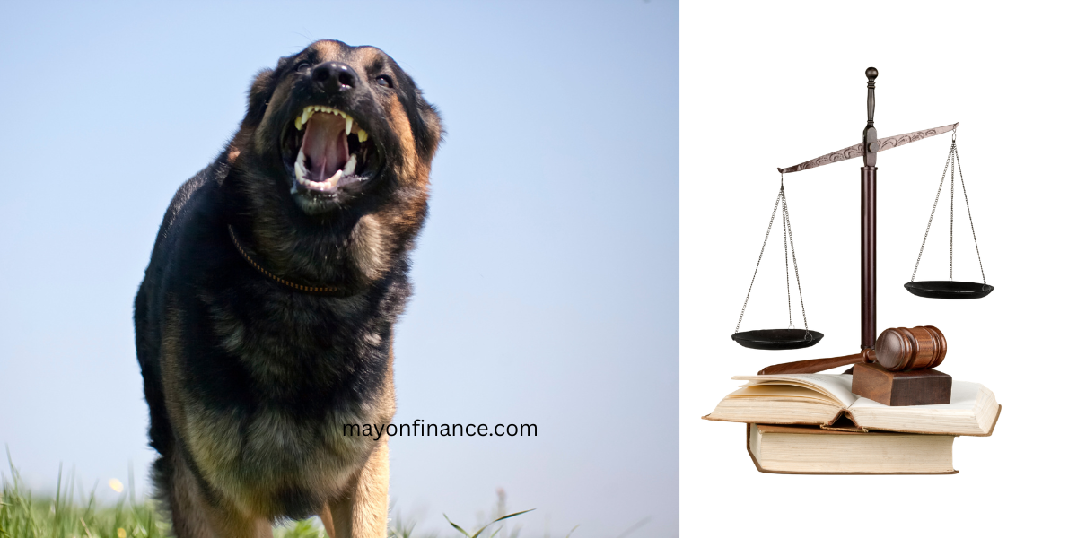 Dog Bite Lawyer Brampton consulting with a dog attack victim about injury compensation in Ontario